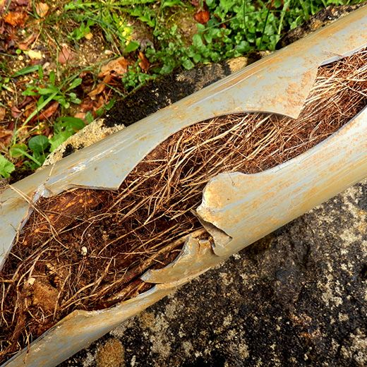 Same Day Drain Sewer & Rooter Pros Across Barrington